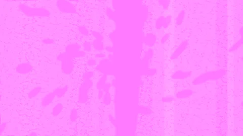 Dynamic Geometric Abstract Motion 動画素材 341202547