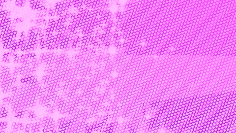 Dynamic Geometric Abstract Motion Vídeo Stock 341212856