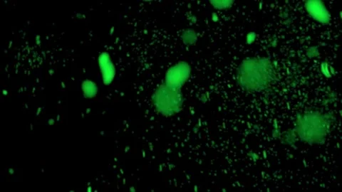 Dynamic glass break animation with chroma key background Stock Footage 302481753