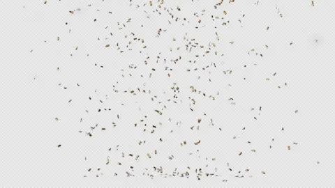 Dynamic Gold and Silver Confetti Burst and White Starbursts with alpha channel Stock Footage 339785879