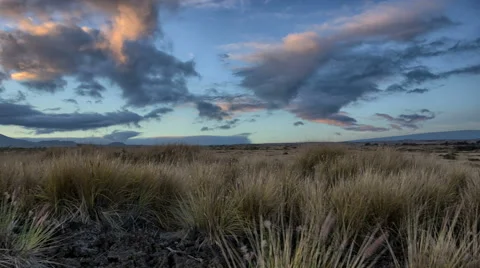 Dynamic Grasslands Morning Time Lapse, Waikoloa Ranch Land, Big Island, Hawaii Vidéo 50144591
