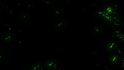 Dynamic green light illuminates black background 스톡 동영상 278059875