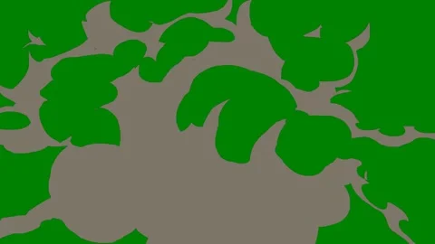 A dynamic green screen transition with sharp swirling lines Ideal Video stock 301387179