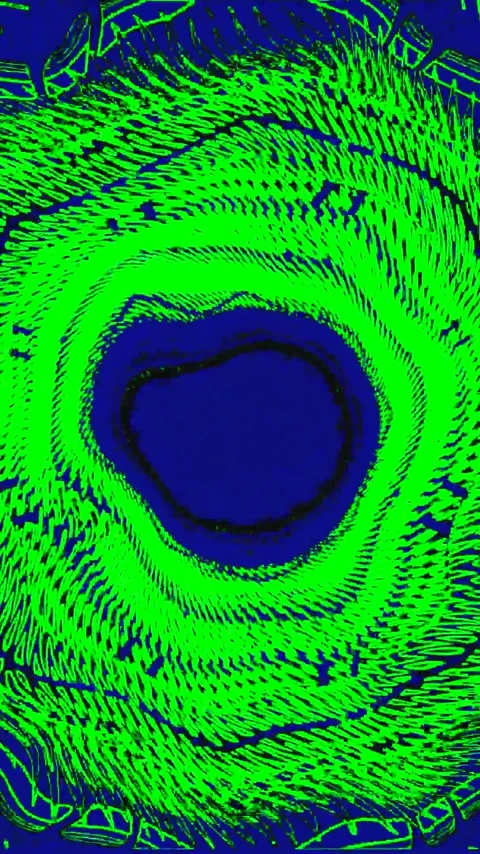 Dynamic green tunnel video loop creates mesmerizing motion effect for scree.. Video stock 321571651