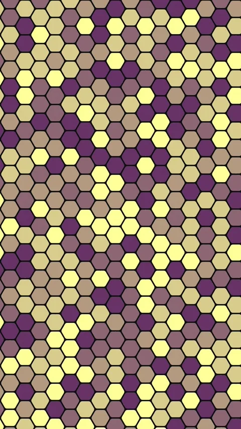 Dynamic Hex Mesh Circle Animation Background Stock Footage 333051227