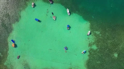 Dynamic high-angle shot capturing the wild, powerful surf of Puerto Rico's Stock Footage 340832370