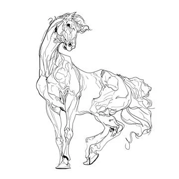 Dynamic horse line art vector illustration Stock Illustration