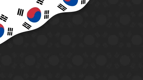 Dynamic Korean Flag Wavy Background for National Remembrance and Military A.. Stock-Footage 340072517