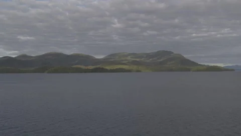 Dynamic Landscape Alaskan Lake with Pine Tree Mountains Drone Stock Footage 255318917