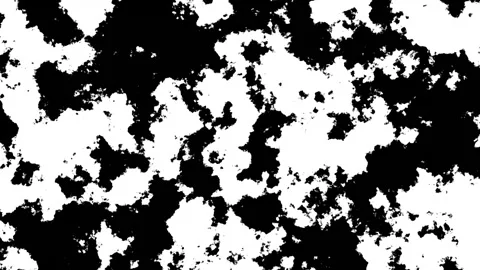 Dynamic Line Art Moving Seamlessly In Loop 動画素材 319218961