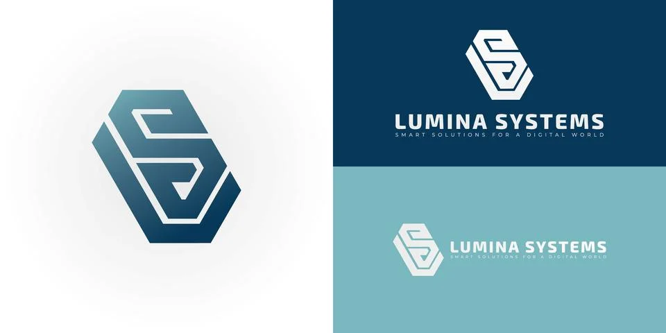 The dynamic logo design features the initials LS Stock Illustration