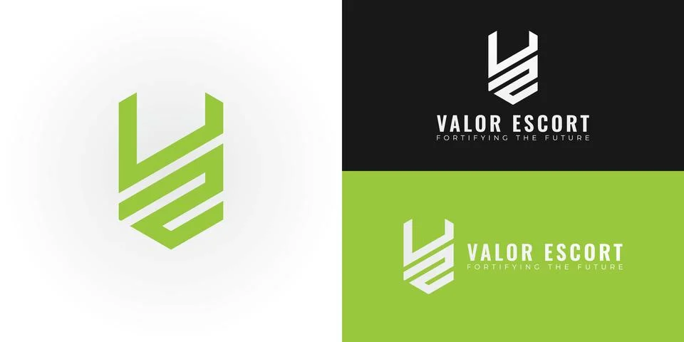 The dynamic logo design features the initials VE Stock Illustration