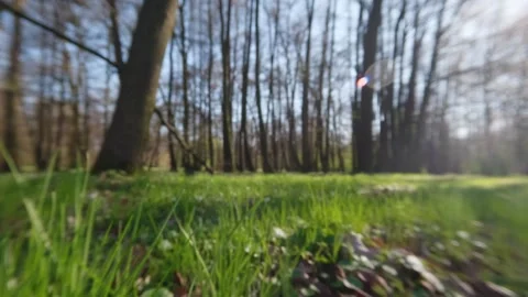 Dynamic low angle movement through grass simulating predator or prey perspe.. Stock Footage 333338079