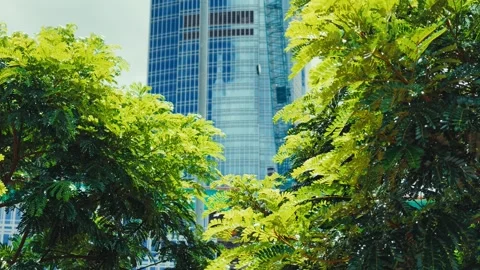 A dynamic low-angle shot captures vibrant urban scenes in Hong Kong through lush 库存影片 338311421