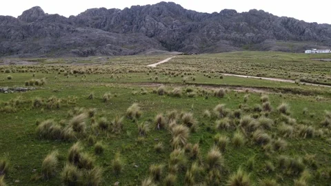 Dynamic low-to-high aerial pan over moorland Vídeo Stock 338263915