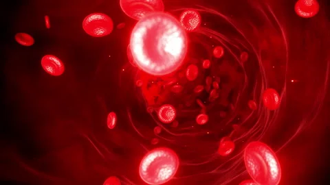 Dynamic macro view 3D animation of red blood cells Stock Footage 325653421