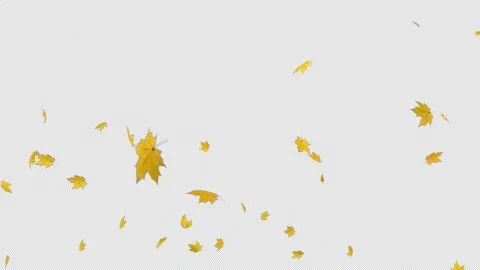 Dynamic Maple Blast Alpha Overlay Stock Footage 314817020