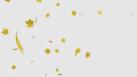 Dynamic Maple Blast Alpha Overlay Stock Footage 315748412