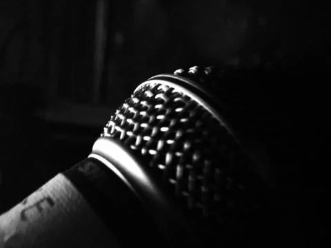 Dynamic Microphone 스톡 사진