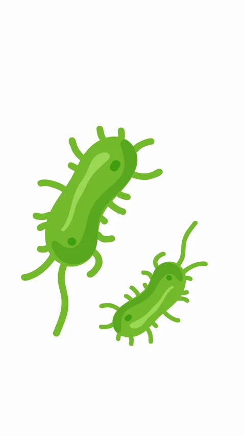 Dynamic microscopic animation of green bacteria Stock Footage 336175536