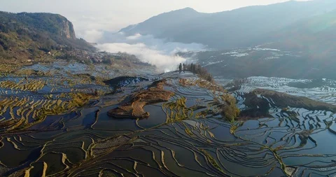 Dynamic mist over rice terrace fields Stock Footage 92653754