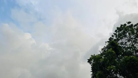 Dynamic Monsoon Clouds Passing Over Tropical Tree Branches. Stock Photos