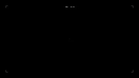 Dynamic Motion of a Black Cat Running Through Night Scene in Motion. 库存影片 342669672