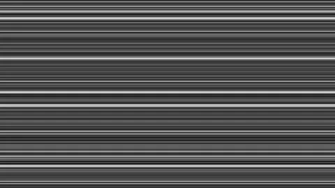 Dynamic Motion of Elegant Black and Silver Lines Across Frame Stock Footage 291096895