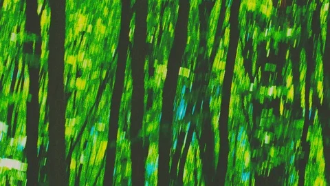 Dynamic motion in the green summer forest. abstract woods landscape. Vídeos de archivo 90736079