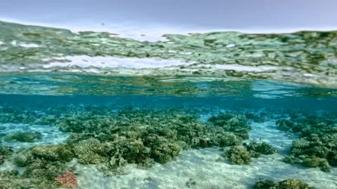 Dynamic motion half underwater scene capturing a rolling ocean wave above a 스톡 동영상 325756572