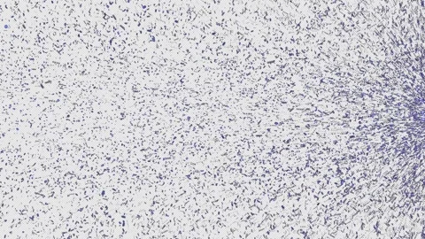 Dynamic motion of the particle line. The transition from particles Stock Footage 268742587