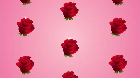 Dynamic motion of red rose flowers slowly appearing on a soft pink gradient.. Stock-Footage 339069275