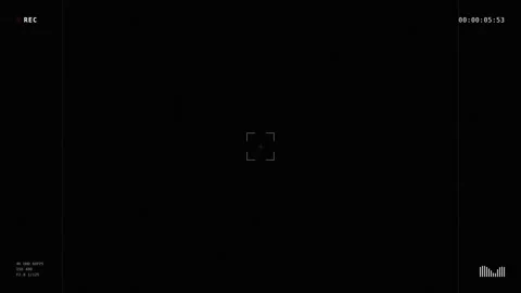 Dynamic motion video capturing the swift movement of a black cat in motion .. 库存影片 342750583