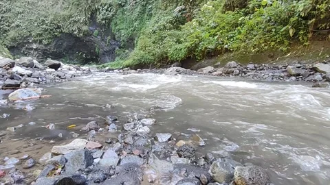 Dynamic Mountain River: Rushing Water &amp; Greenery Stock Footage 311447436