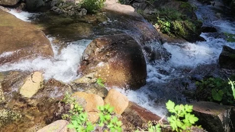 Dynamic Mountain Stream and Mossy Rocks in Japan Stock Footage 346506440