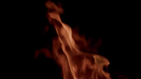 The Dynamic Movement of Flames Against a Dark Background Creates a Striking Visu Stock Footage 310571642