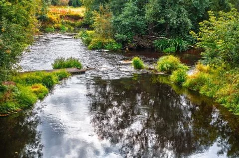 Dynamic natural scenery emphasizing liquid motion, vibrant seasonal transform Stock-Fotos