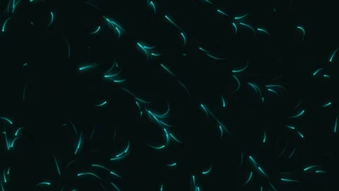 Dynamic neon flowing waves with radiant glow and seamless motion Stock-Footage 339265193