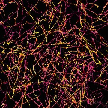 Dynamic Neon Light Trails on Black Background Stock Photos