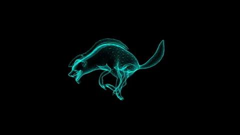 Dynamic Neon Wireframe Wolf Illustration: Digital Art in Motion 库存影片 342781374