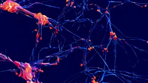 Dynamic Neural Network with Glowing Synapses Stock Footage 313568632