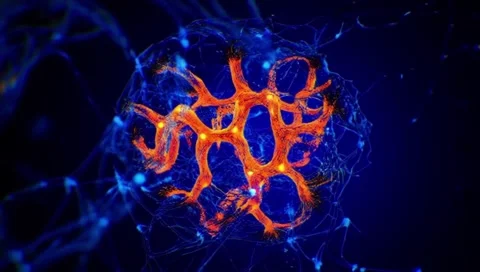 Dynamic Neural Network with Glowing Synapses - 4K Loopable Abstract Science  Stock Footage 313569655