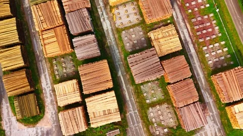 Dynamic orbiting drone view of timber stockpiles supporting circular economy Stock Footage 340597016