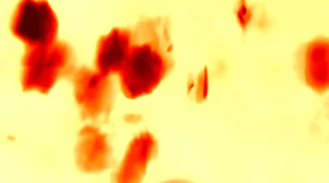 Dynamic organic background Stock Footage 33764818