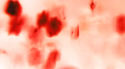 Dynamic organic background Stock Footage 33764822