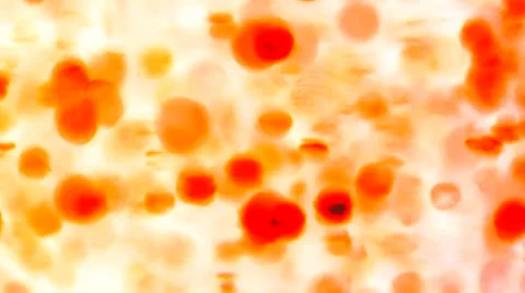 Dynamic organic background Stock Footage 33765162