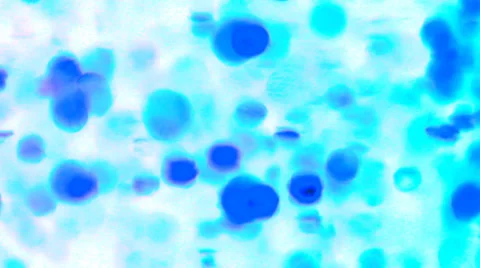 Dynamic organic background Stock Footage 33765190