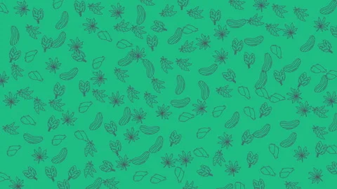 Dynamic organic green pattern animation with flowing botanical line art bac.. Vidéo 333488588