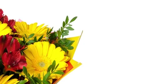 Dynamic pan shot with yellow gerbera and red alstroemeria flowers Stock Footage 258146663
