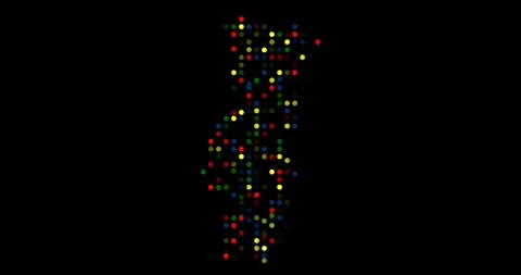 Dynamic Particle Map Forming Portugal Silhouette Outline Stock Footage 319045322